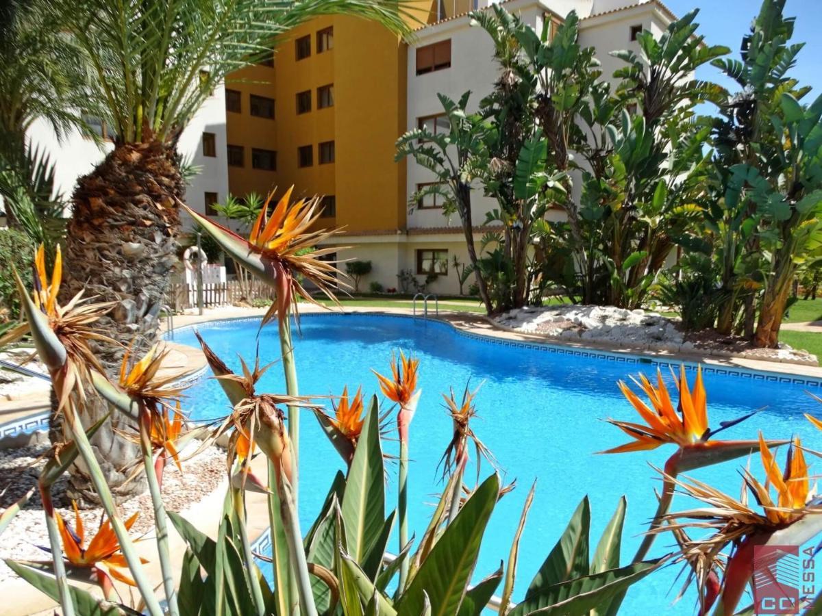 Apartamento Eleonor, La Entrada, Punta Prima, ตอร์เรเวียคา ภายนอก รูปภาพ