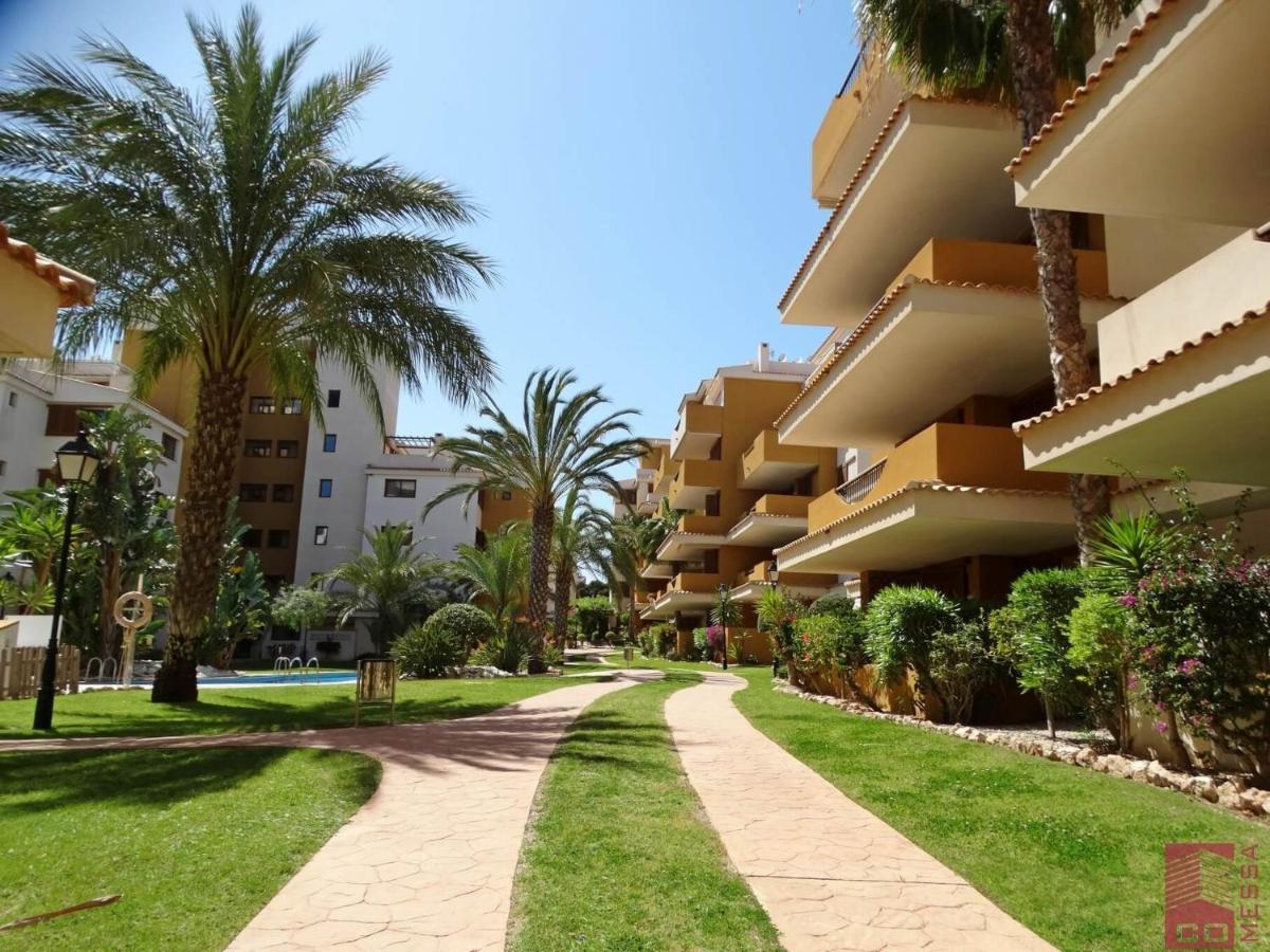 Apartamento Eleonor, La Entrada, Punta Prima, ตอร์เรเวียคา ภายนอก รูปภาพ